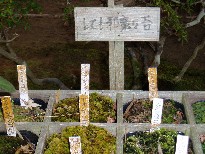 P1010541.JPG