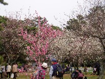 P1010650.JPG