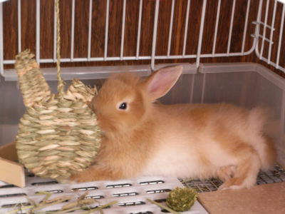 ちょっと顔をみせた蓮くん