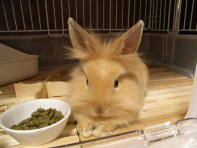 ムスッとした蓮くん