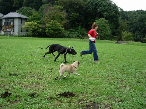 2005.9.28 老体に鞭打ってhanasirouも走る(⌒▽⌒)