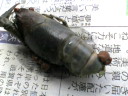 060409ザリガニ死去