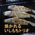 焼かれるイシモチ
