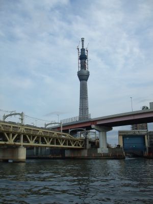 110123_東武鉄橋と東京スカイツリー
