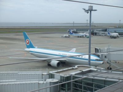 110718_ANAモヒカンジェット（旧塗装機）