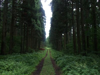 110716_まるごとウォーク_1