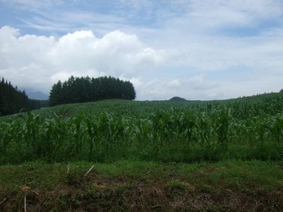 110716_まるごとウォーク_2