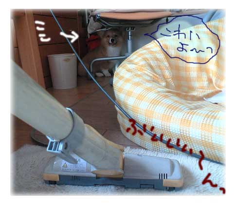 掃除機対まろん