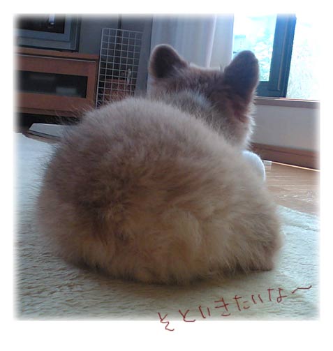 そといきたいな～