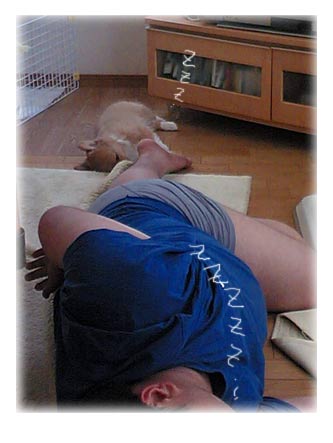 一緒にｚｚｚ・・・