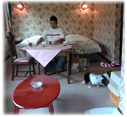 石の家　部屋２.jpg