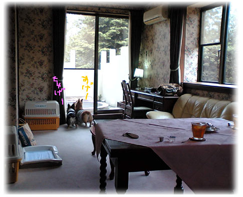 石の家　部屋１.jpg