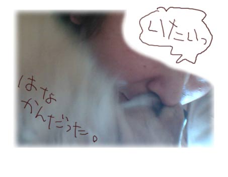 鼻かんだるでー