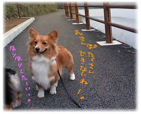 一碧湖２.jpg
