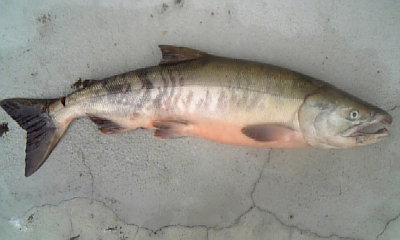 091018_10441411.jpg