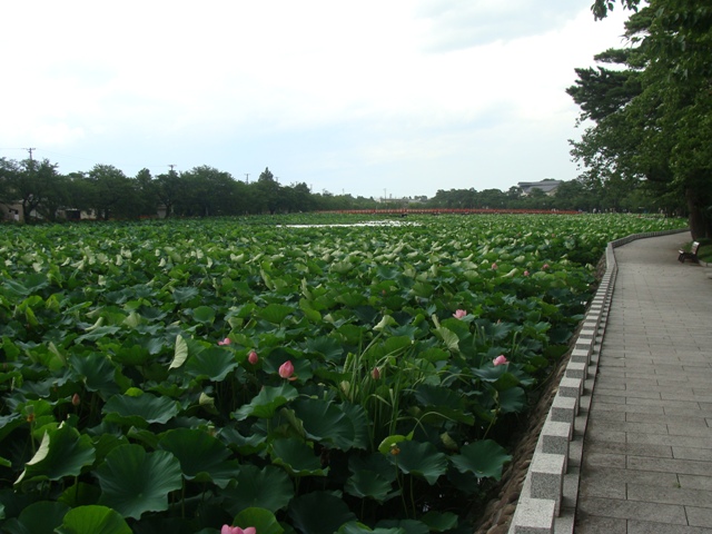 高田城