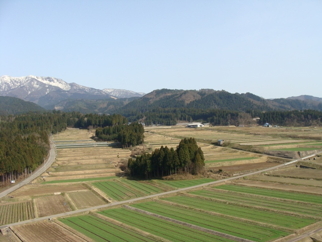 勝山城