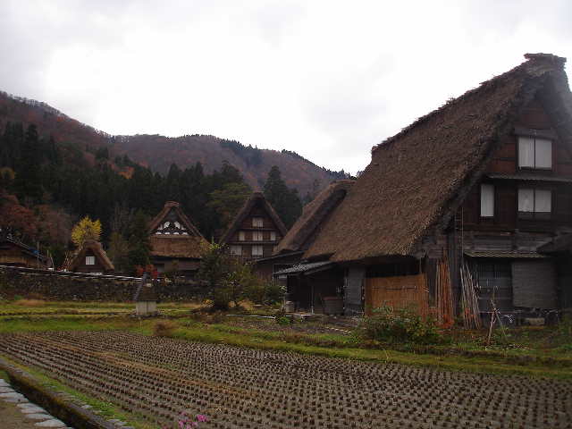 白川郷