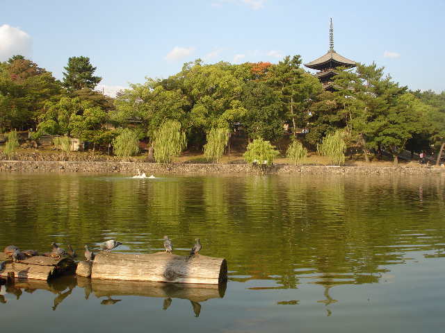 猿沢池　興福寺