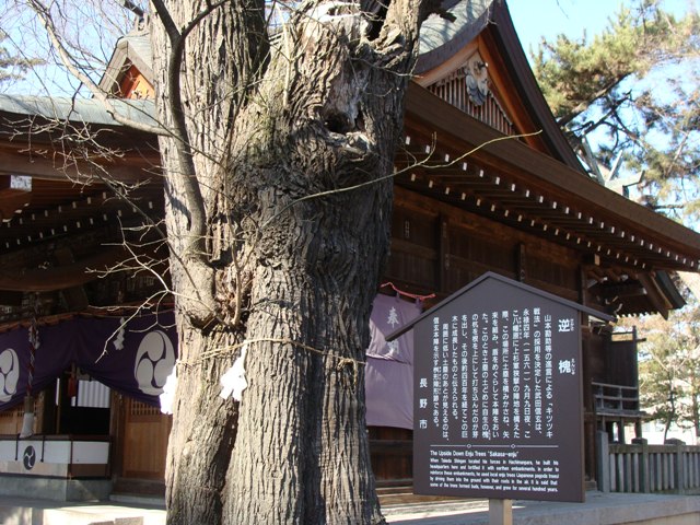 川中島　八幡原史跡公園