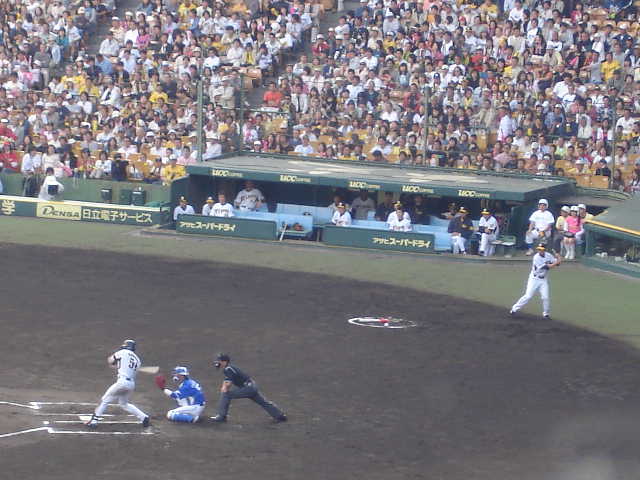 甲子園　阪神ｖｓ横浜