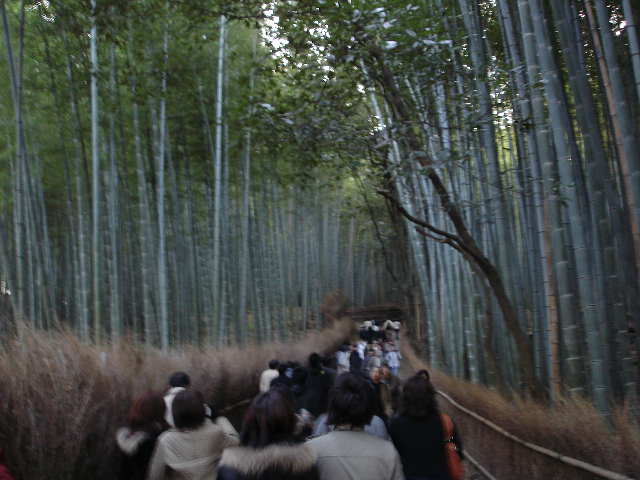 京都嵐山　