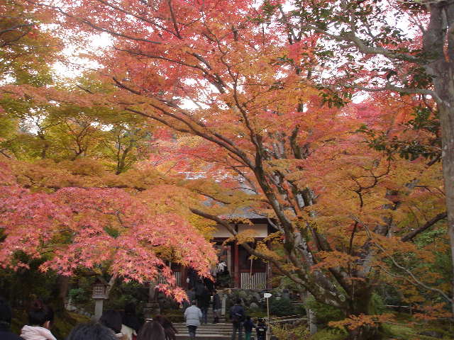 常寂光寺