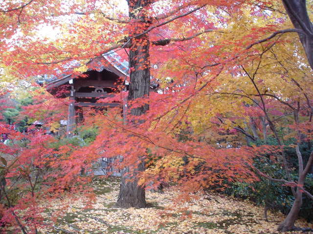 常寂光寺