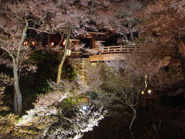 高遠城址公園　桜雲橋