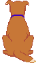 犬.gif