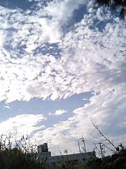 060403_1721~0001.jpg