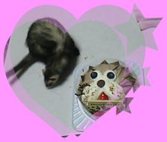 07年12月31日＠こう7歳