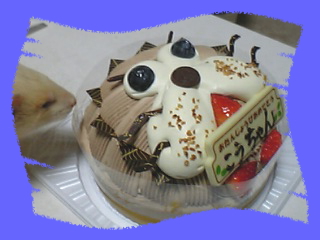 07年12月31日＠大