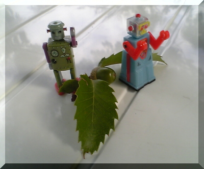 当たったロボット