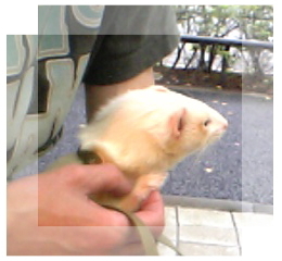 07年7月23日＠大