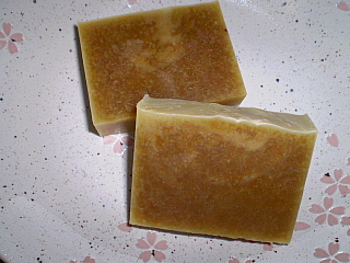 Ｐｅｒｉｌｌａ　ａｖｏｃａｄｏ