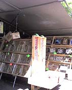 アロハスタジアム 中 １.jpg