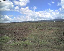 ノース 地面.jpg