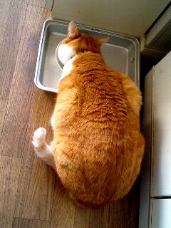 ０６年２月５日ウニ
