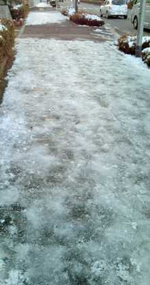12012503.JPG