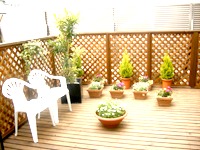 ﾌﾛｰﾗ幸手（ﾃﾗｽ）