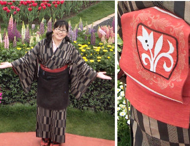 チューリップの帯