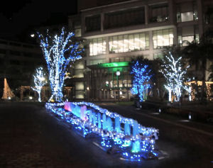 イルミネーション