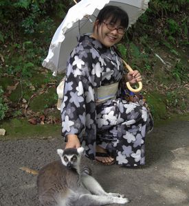 ワオキツネザル