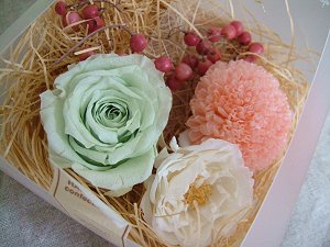 from ++Ｍonica++ちゃん