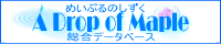 メイプルの雫