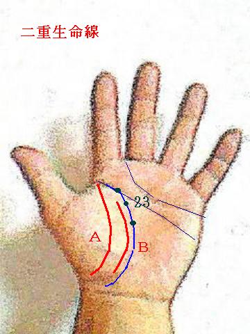 今日の一線 手相講座応用編第４３回 丈夫 二重生命線 手相占い 今日の一線 相 楽天ブログ