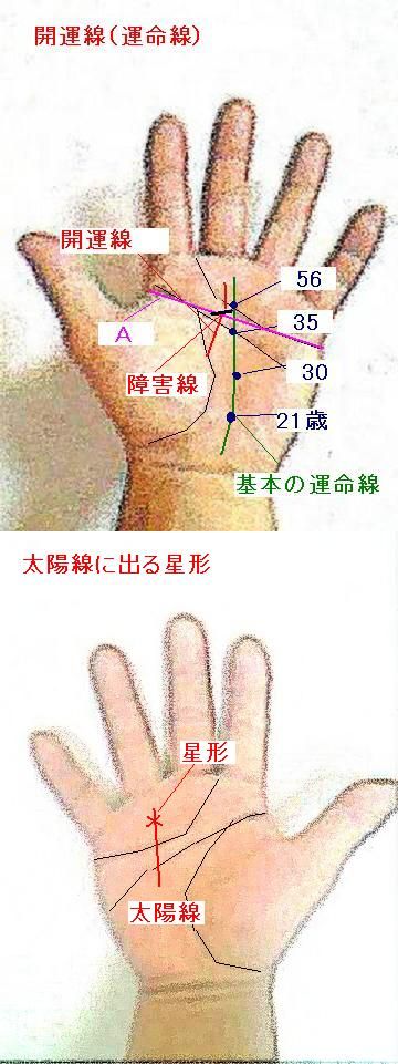 開運線 太陽線の星形 ご質問より 手相占い 今日の一線 相 楽天ブログ