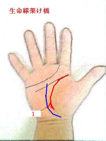4ページ目の 手相ｑ ａ 手相占い 今日の一線 相 楽天ブログ