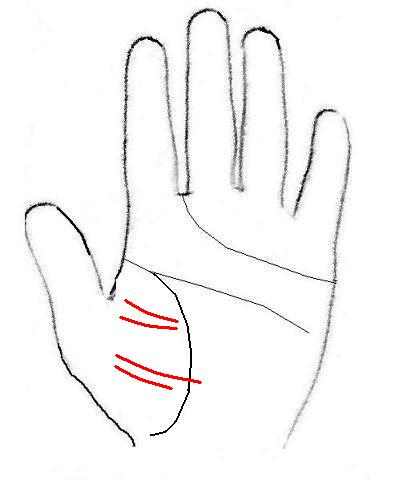 の 手相 親指 付け根